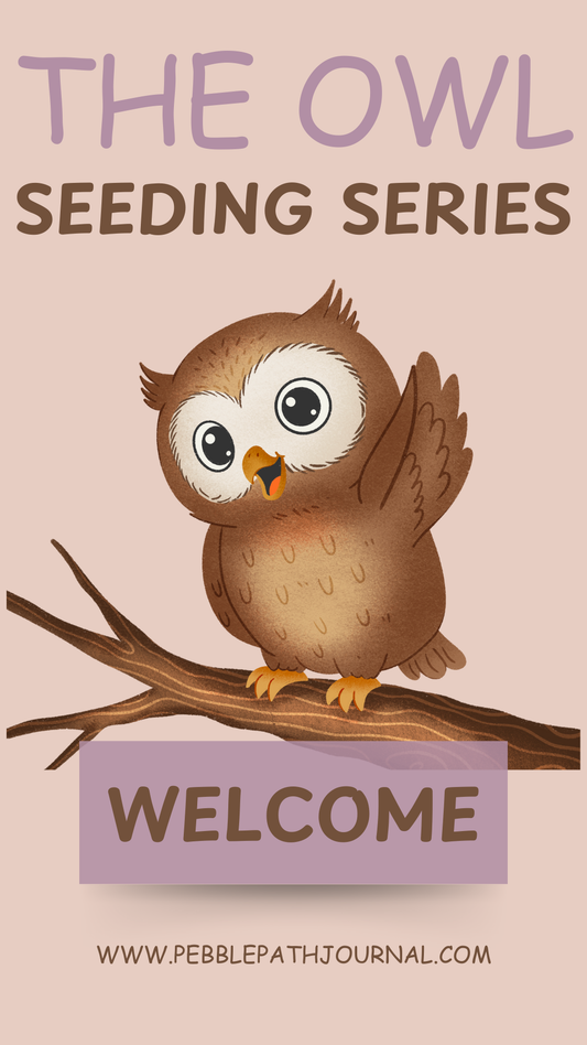 social emotional learning journal for kids