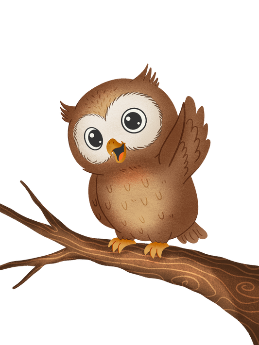 owl character teaching about seeing feelings