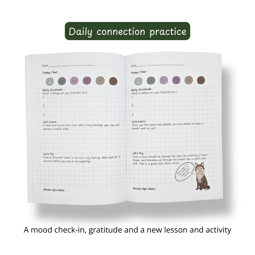 Internal Compass Journal by Pebble Path Journal flat lay — 90-day guided emotional regulation journal for children. Undated, therapist-approved, for ages 3–10.
