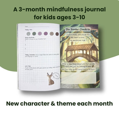 emotional regulation journal for kids