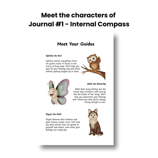 daily reflection journal positive affirmations flashcards occupational therapy calming strategies